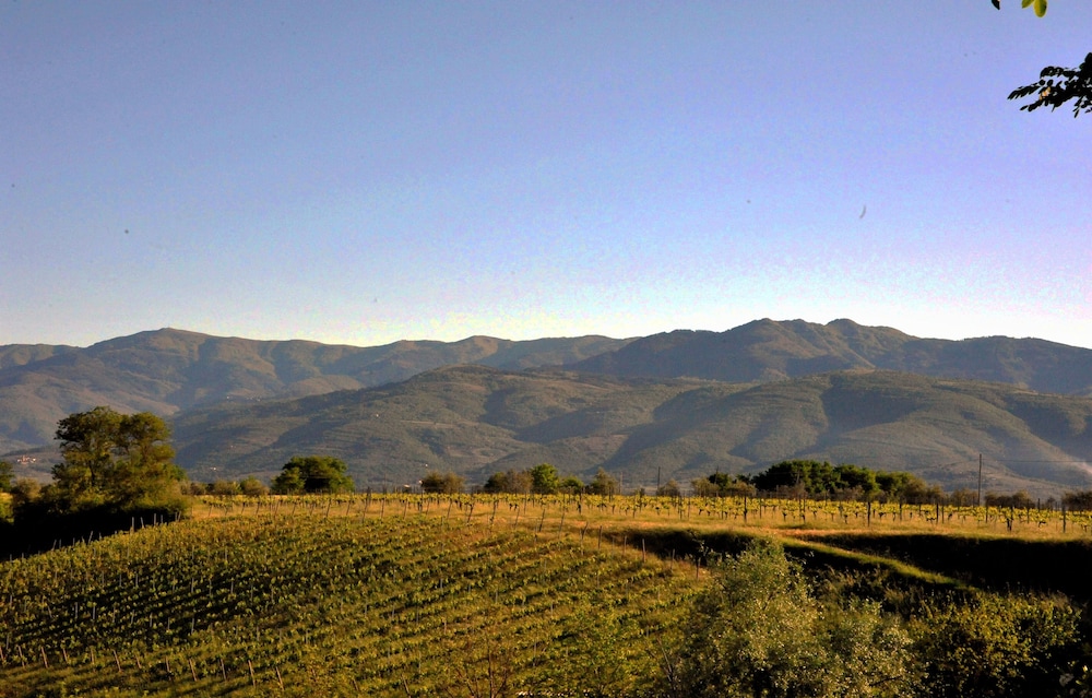 Il Pino Bioagricoltura