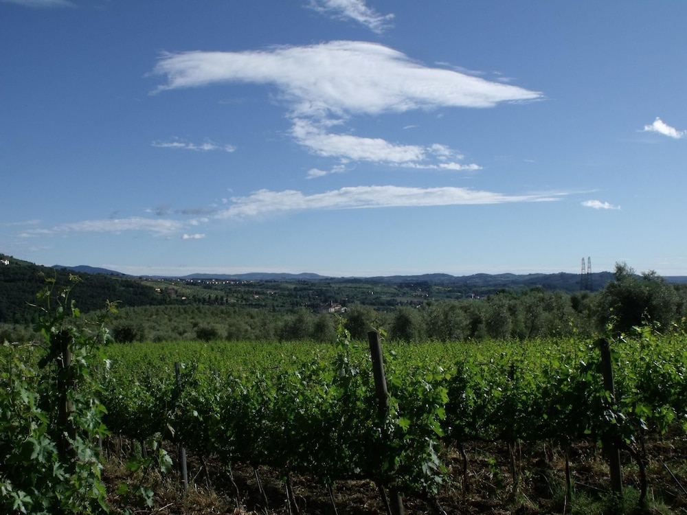Il Viaio