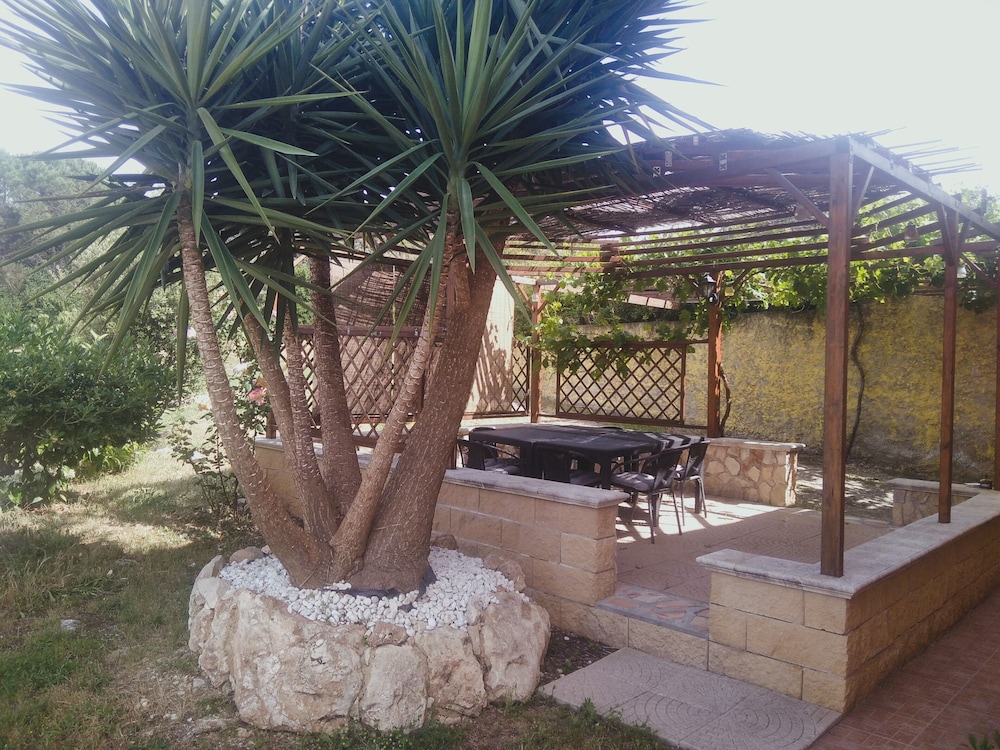 Photo 13