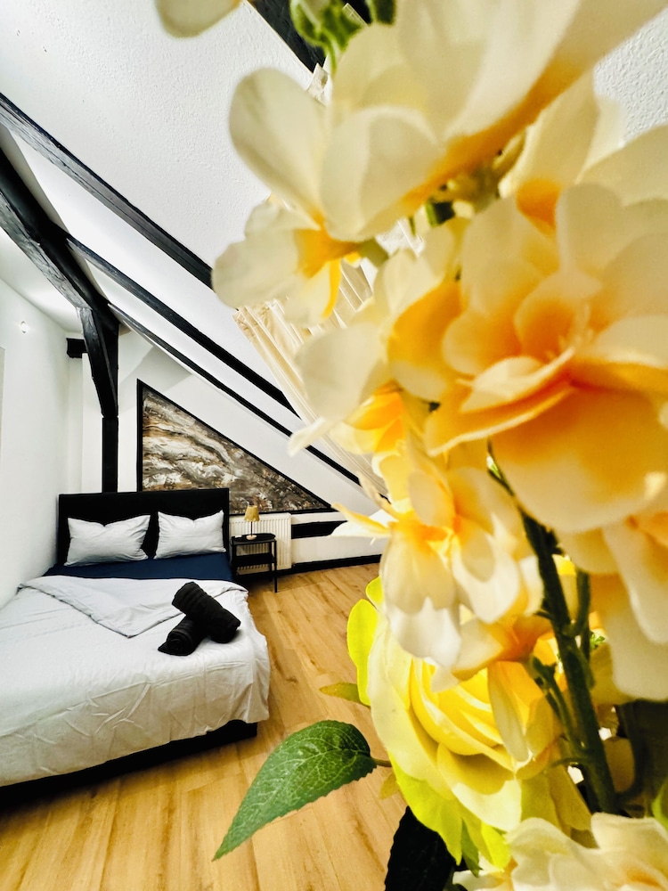 Comfortable Budget Room near Liesing