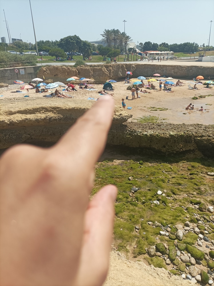 Reboleira
