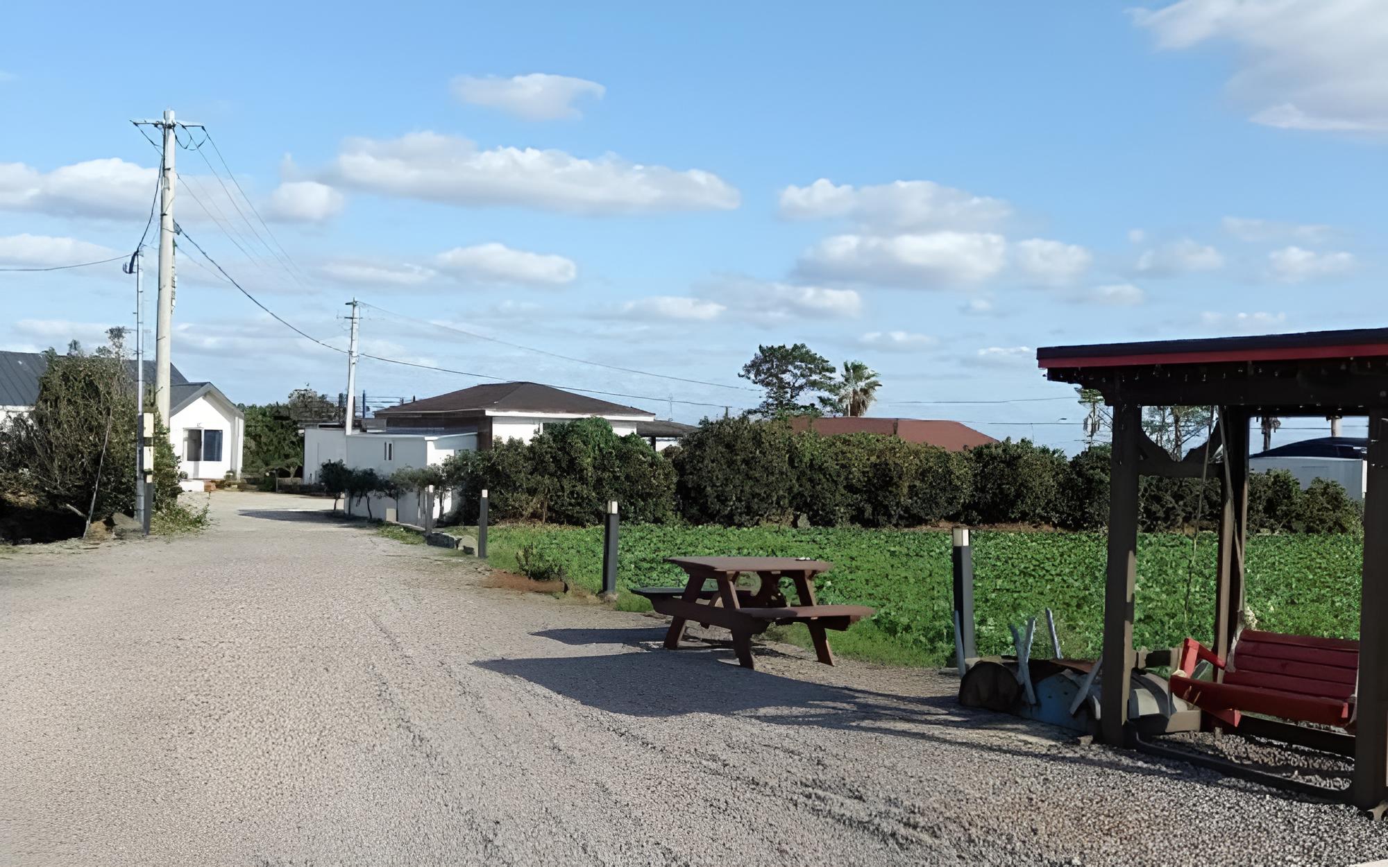 Photo 40