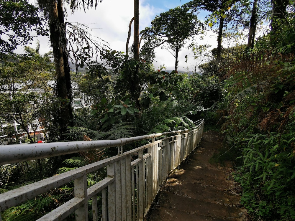 The Woodz Homestay