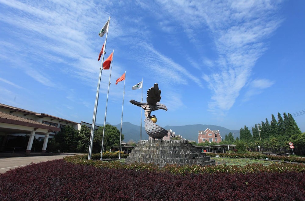 Photo 46