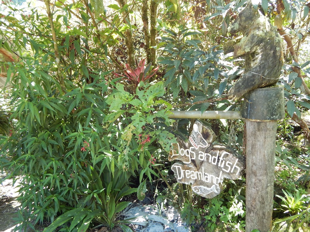 Photo 44