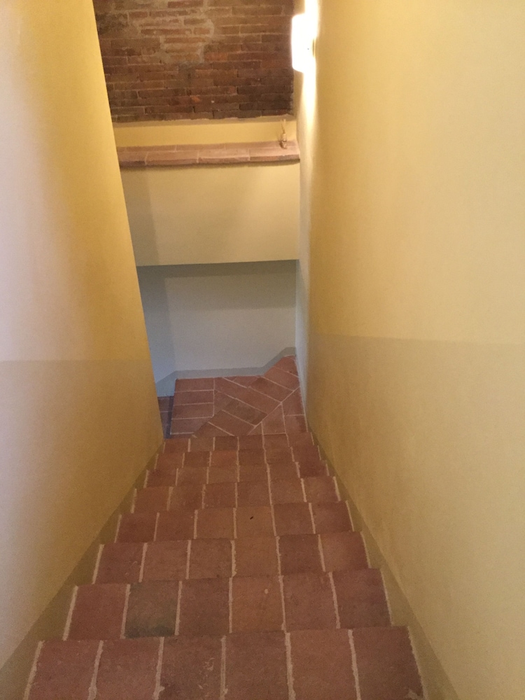 Frutteto dei Babbi