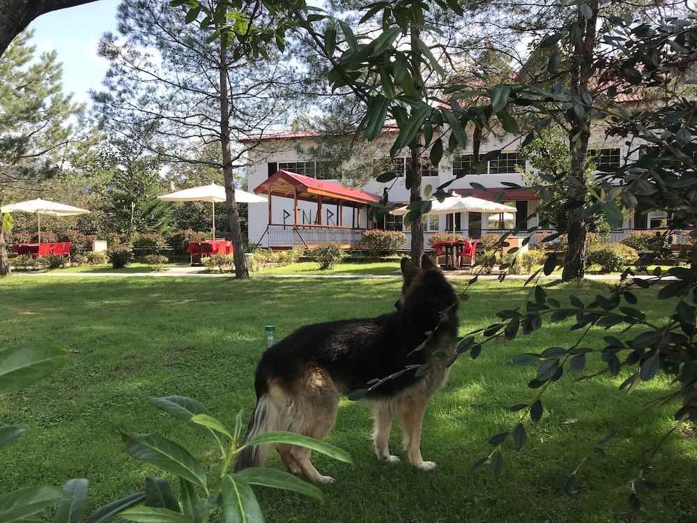 Pinar Kir Evi