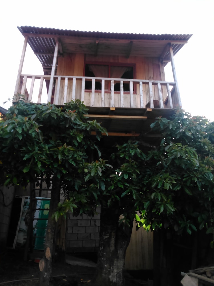 Rutun Orquídeas