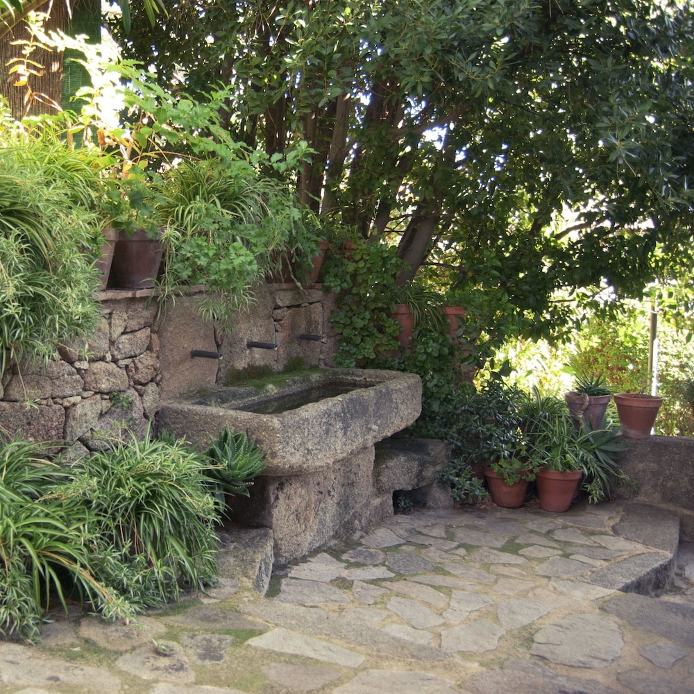 Photo 30