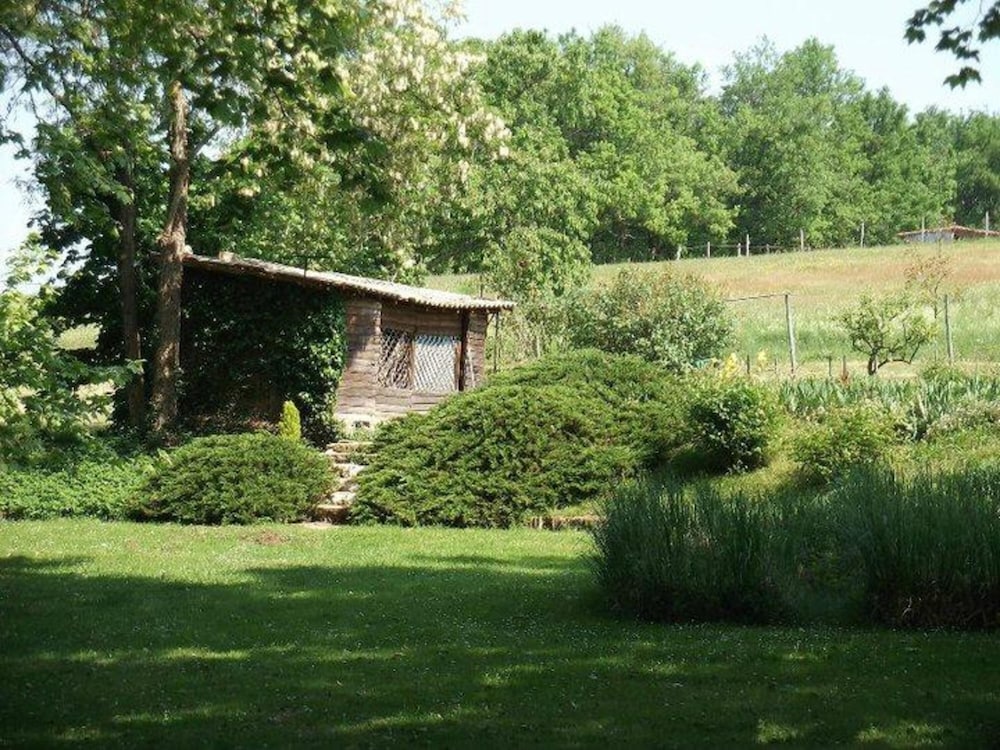 Photo 8
