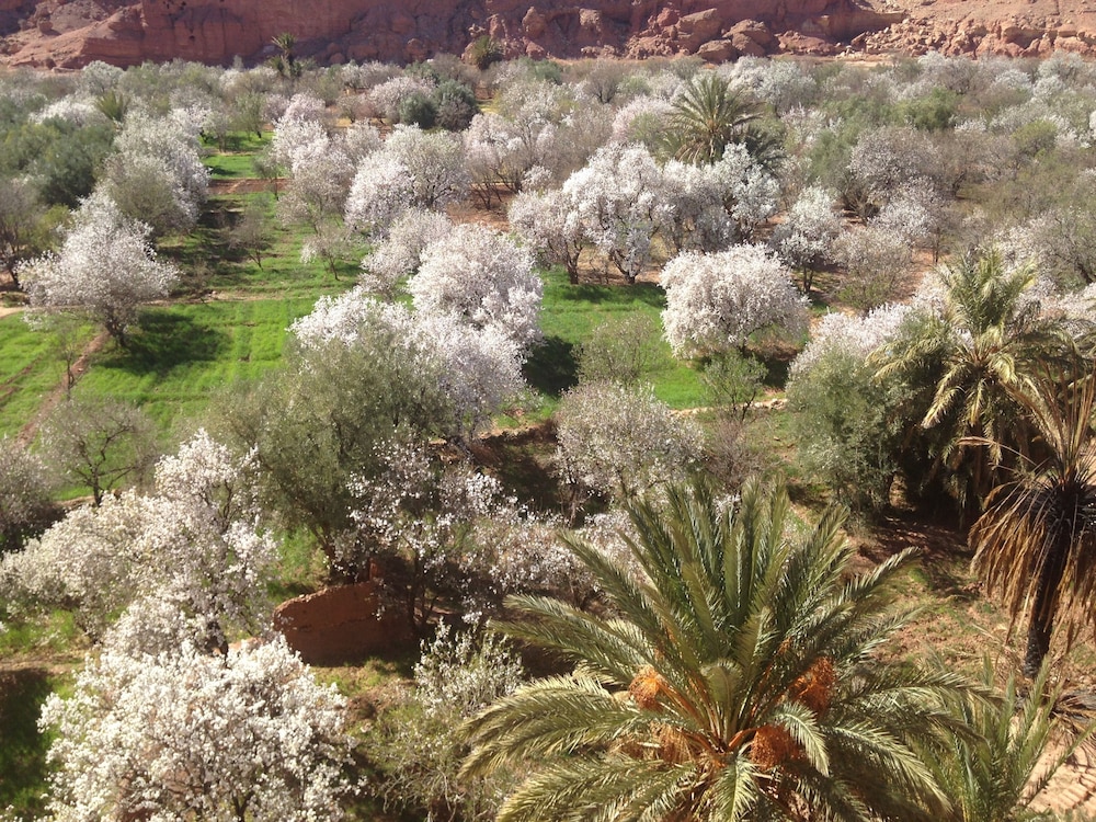 Kasbah Titrit