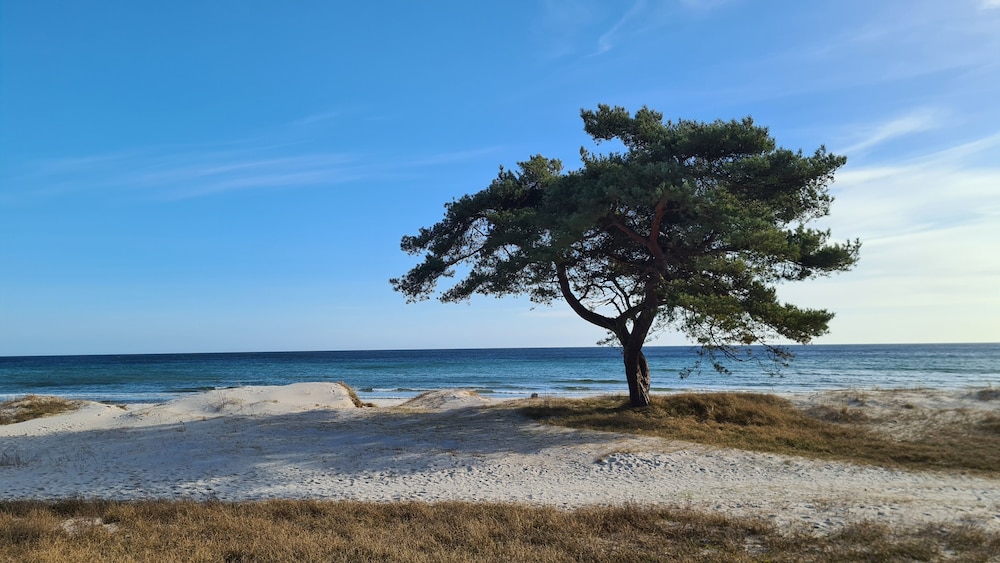 Kvarnviks Gård