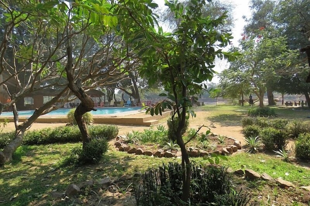 Croc Valley Camp