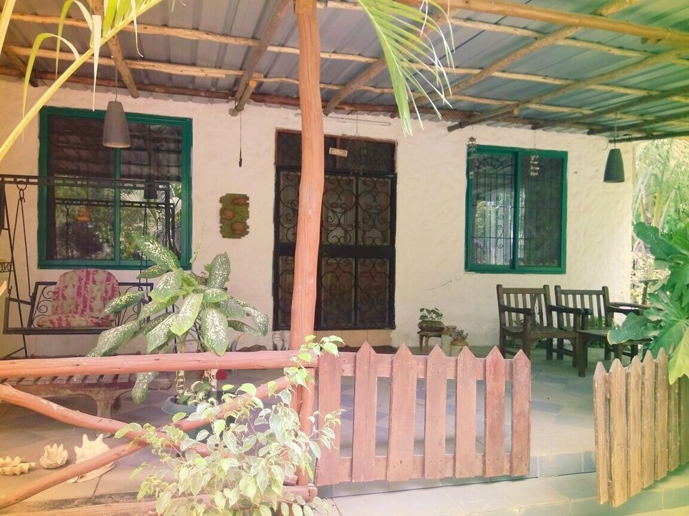 Photo 19