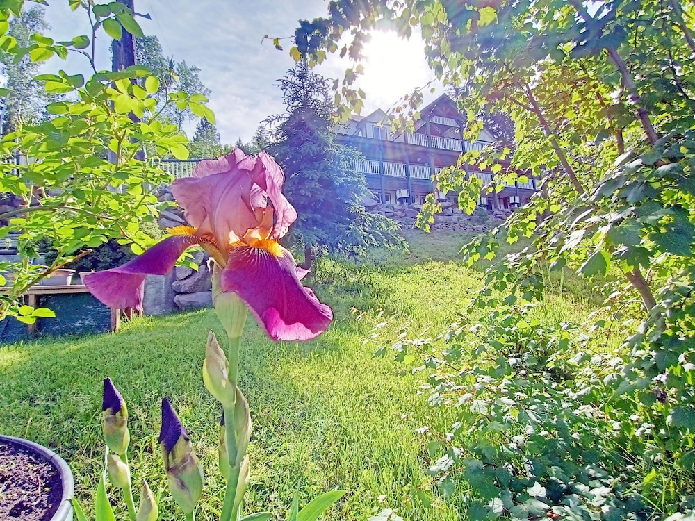 Photo 43