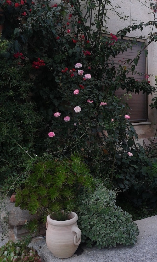 Photo 60