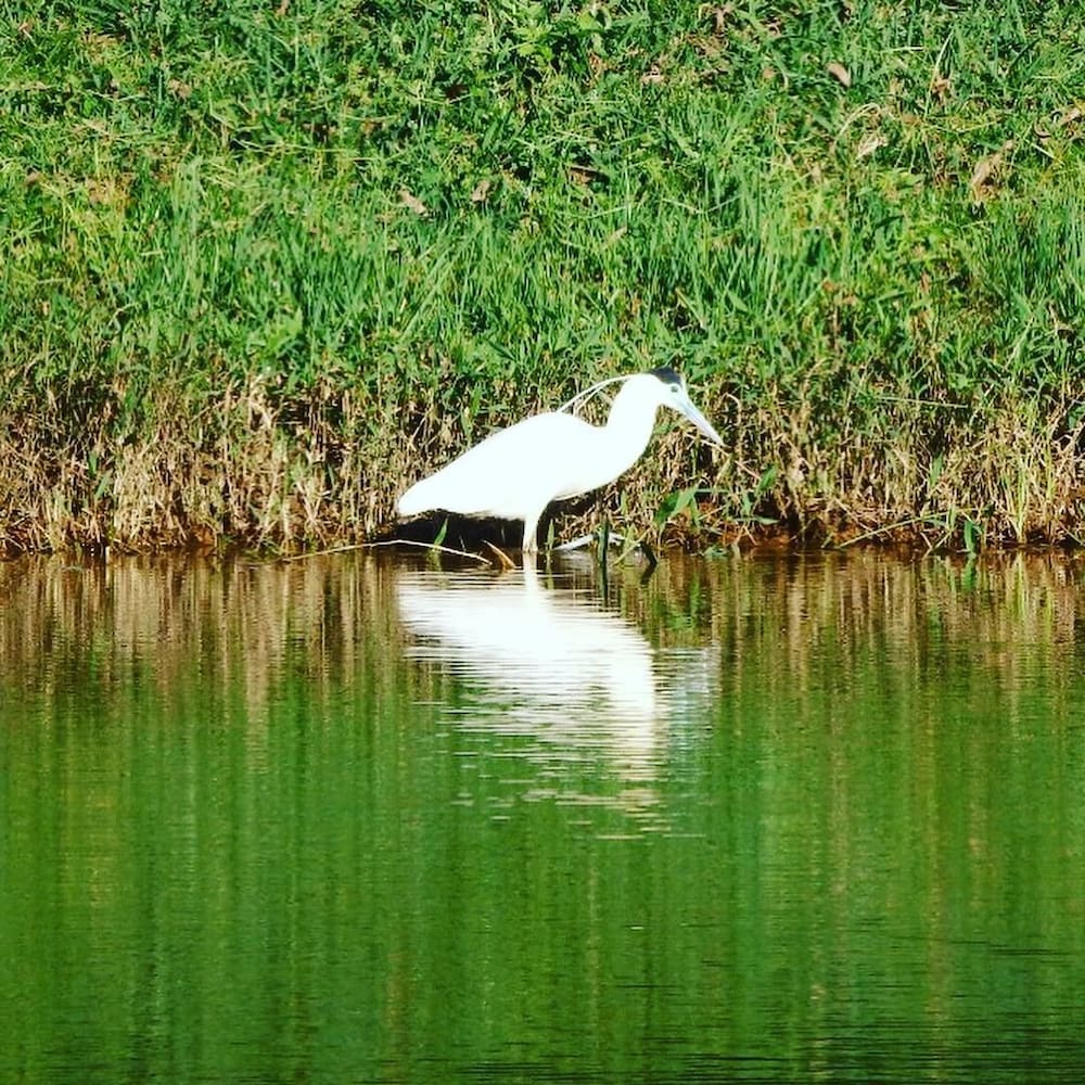 Pousada Ecorsini Aventura