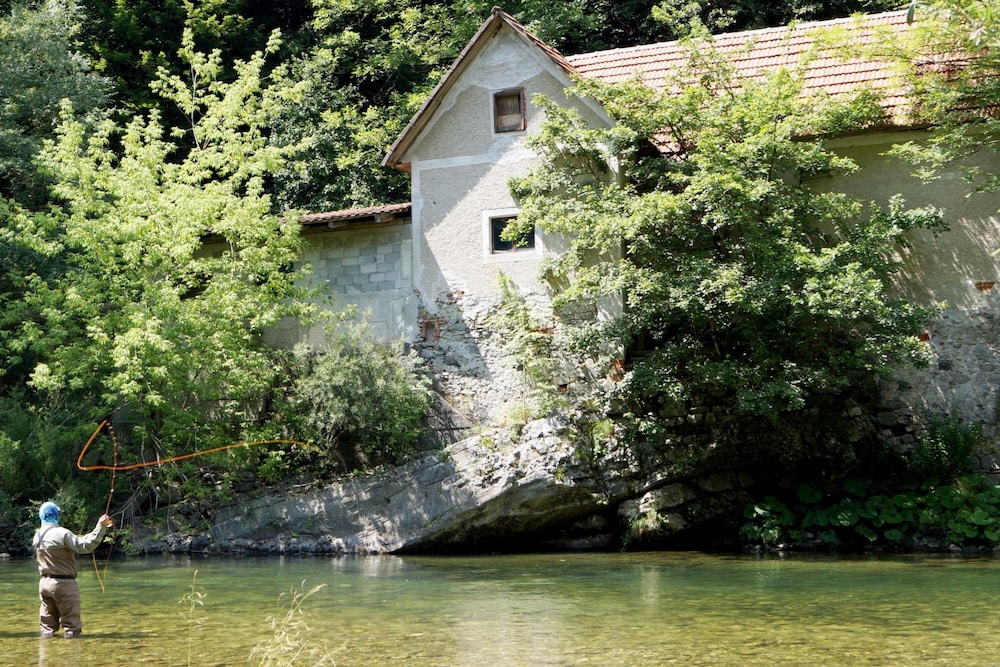 Photo 27