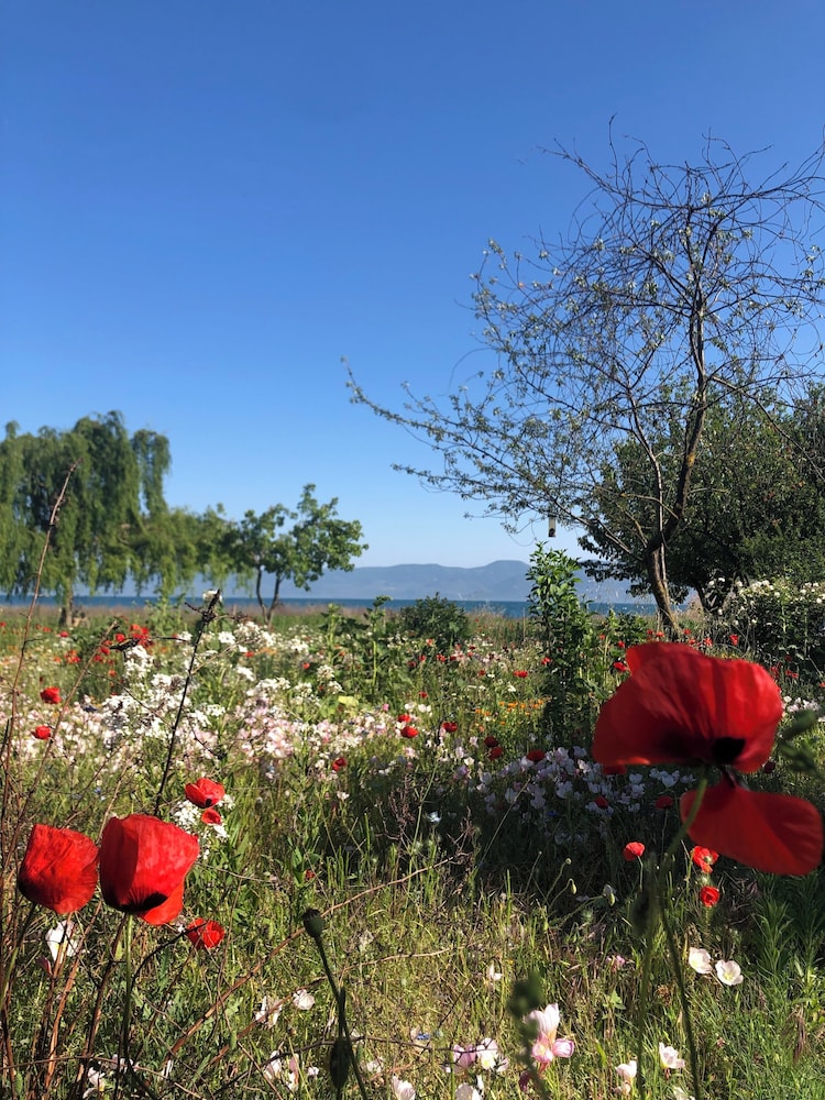 Home on Iznik Lake With its own Private Beach