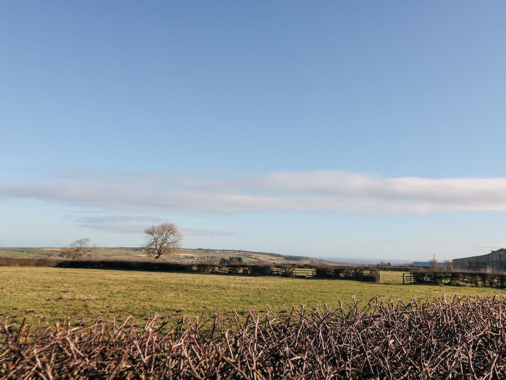 Dale View