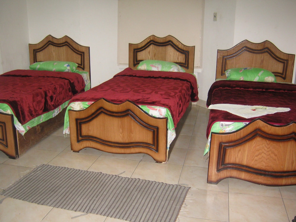 Great Alexander Hostel