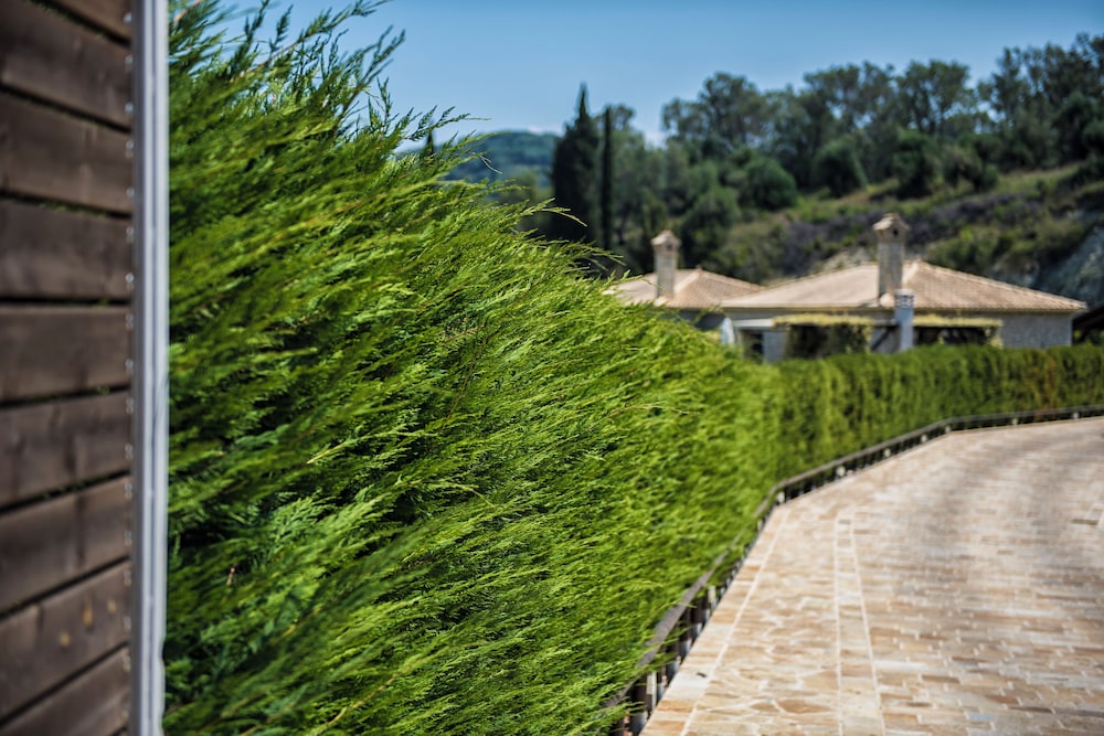 Hotel Mega Lithari Villas Corfu - Image 1