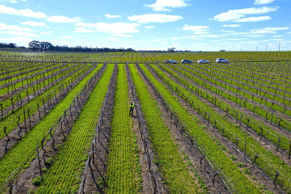 Furche Barossa Vineyard & Fireplace