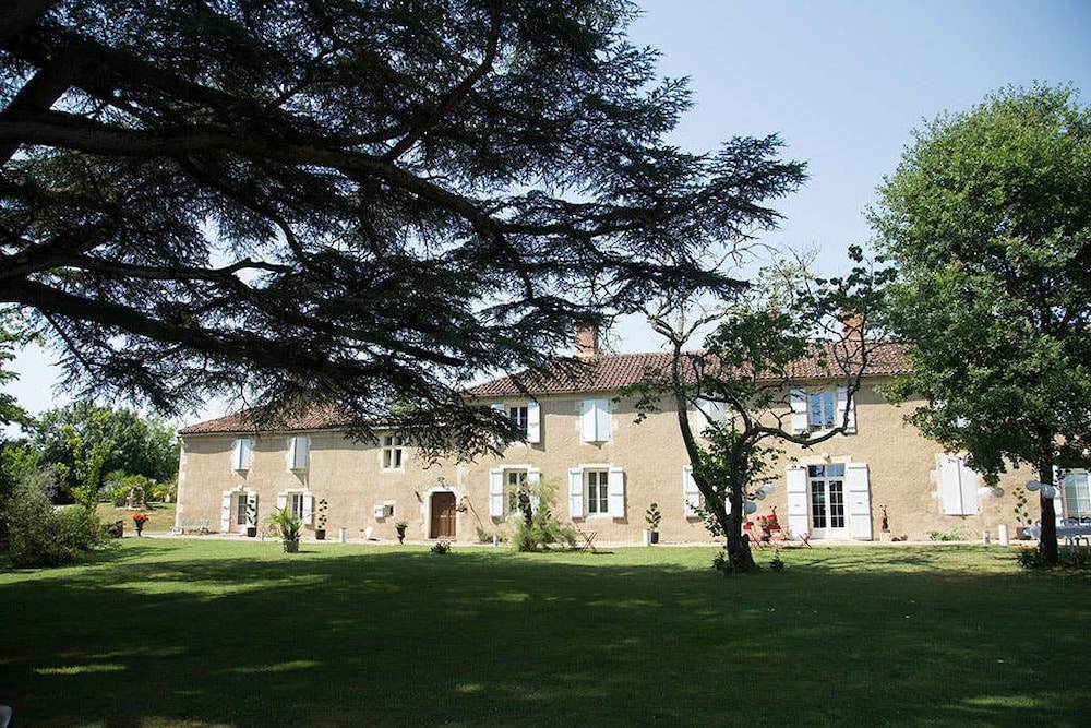 Chartreuse de Dane view 5