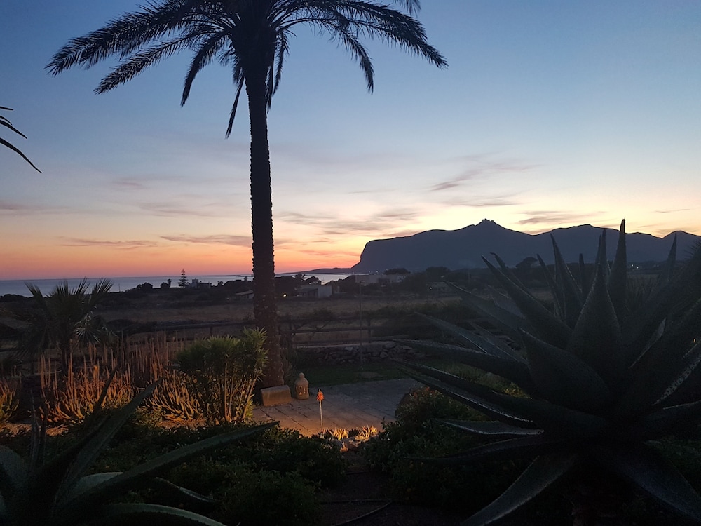 Il Giardino delle aloe