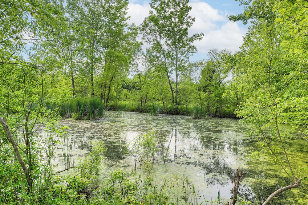 Swim & Sip: Creative Retreat 2 Mi to Owasco Lake