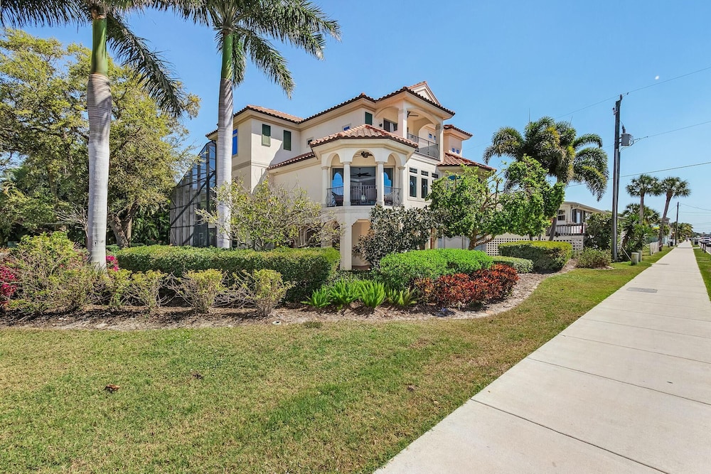 Sabal Palms