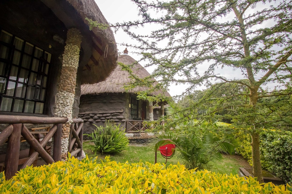 Dove Nest Lodge
