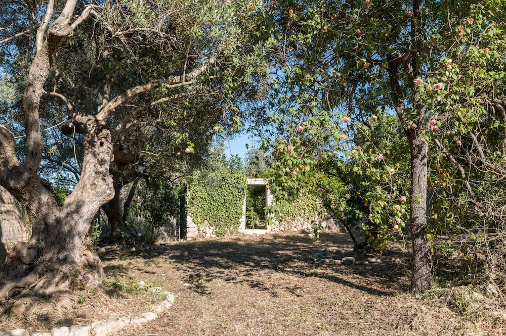 Photo 20
