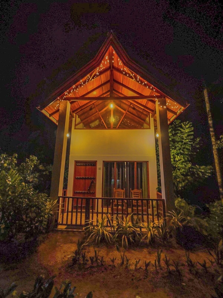 Rain Forest Vibe Sinharaja