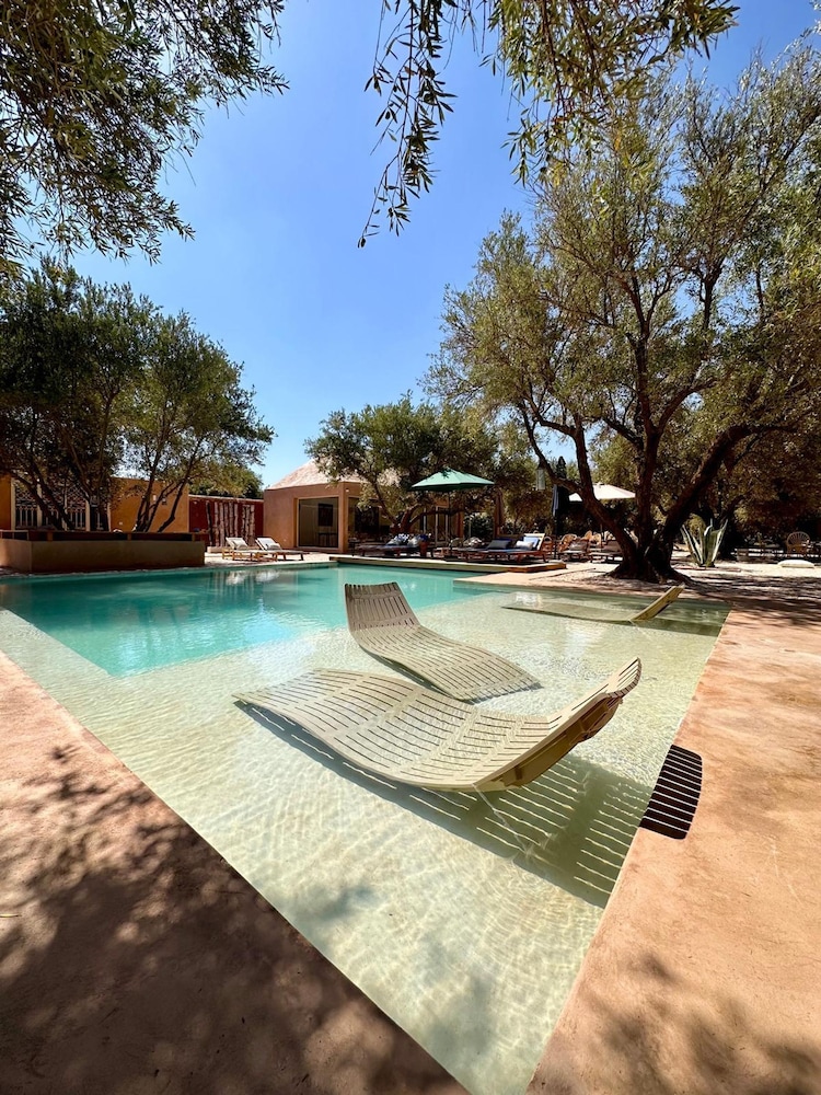 The Garden of Siredrah an Oasis With Pool and Hammam