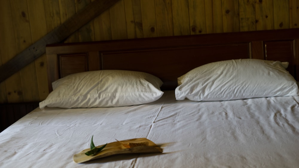 Thuy Bieu Homestay