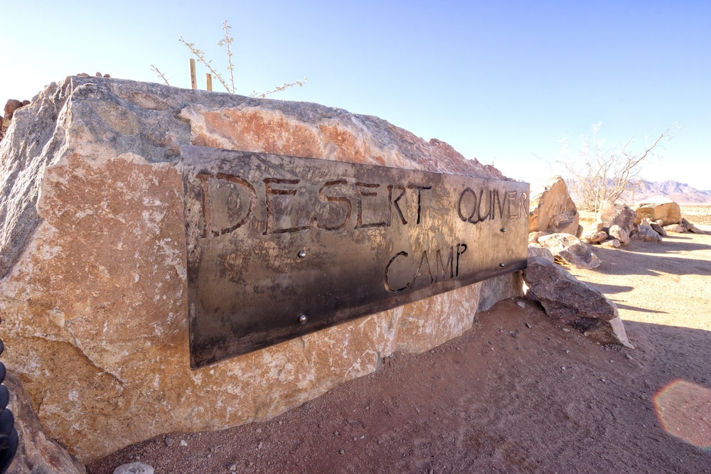 Desert Quiver Camp