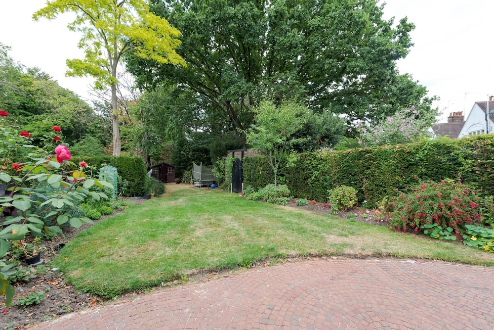 garden