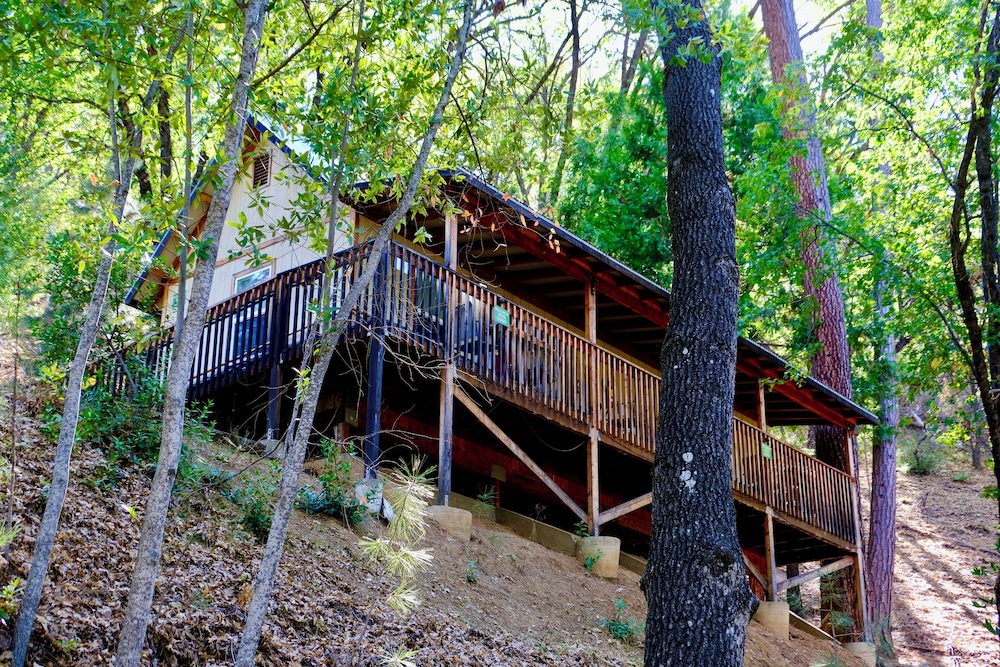 Yosemite Bug Rustic Mountain Resort