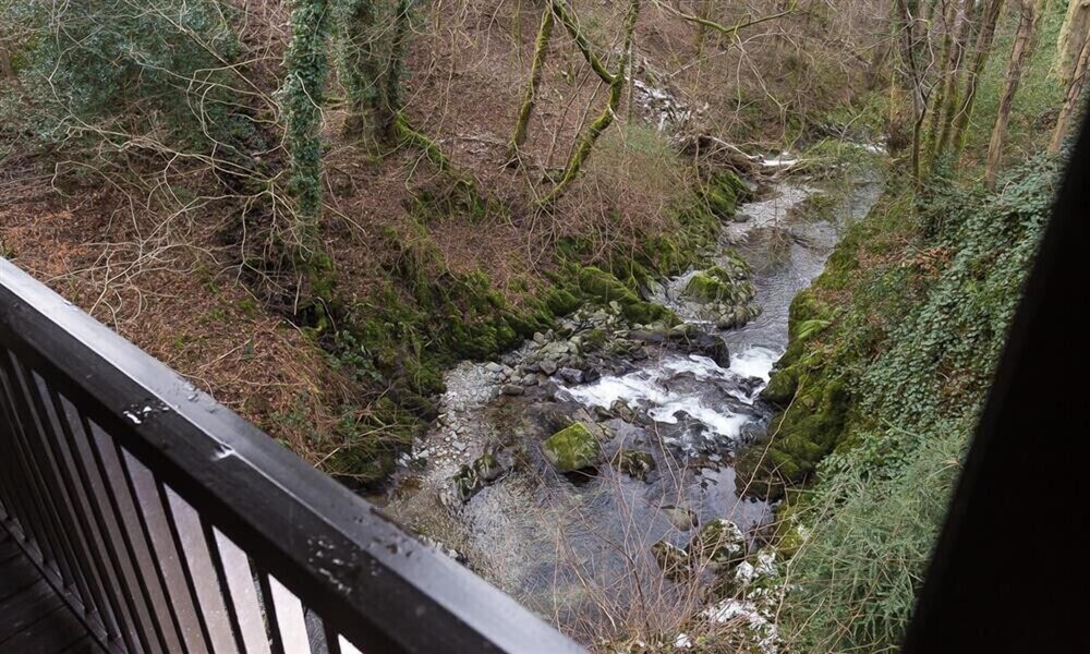 River Falls View