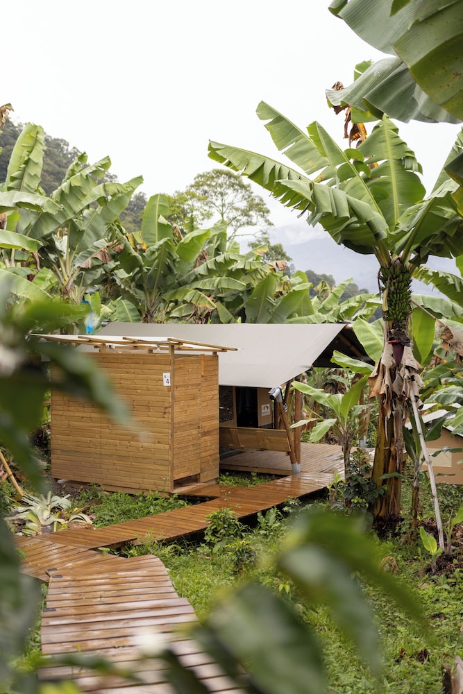 Glamping Jardín