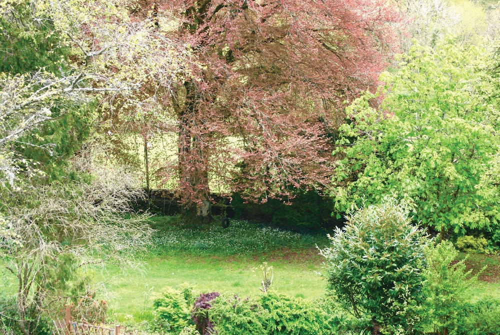 Afon Rhaiadr Country House