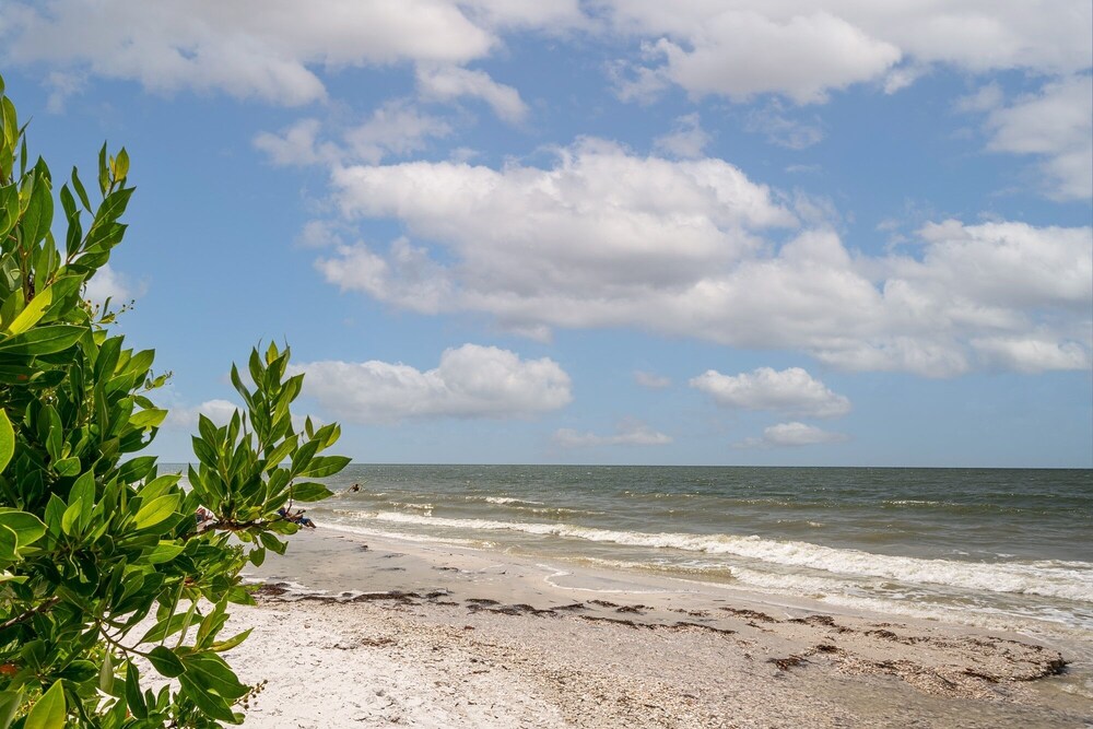 Estero Beach And Tennis Ph5 Building C 1 Bedroom Condo by RedAwning view 4