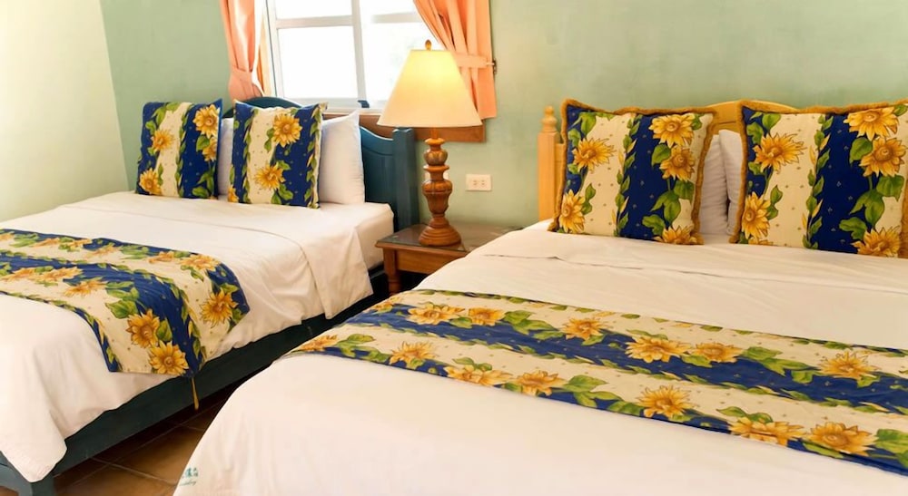 Avignon B&B