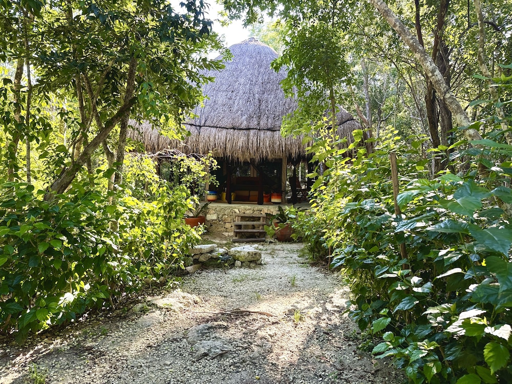 Glamping Bunga Lotus