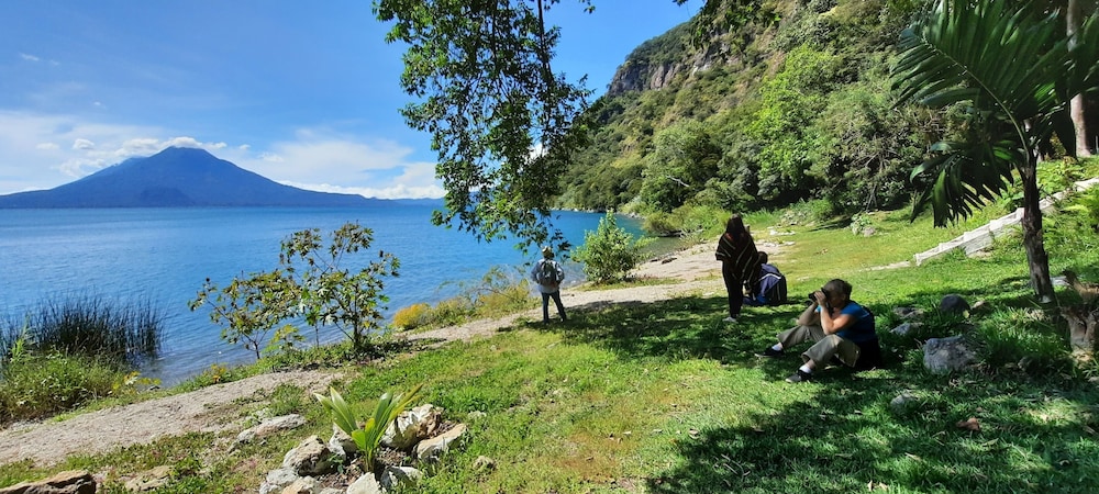 Photo 21