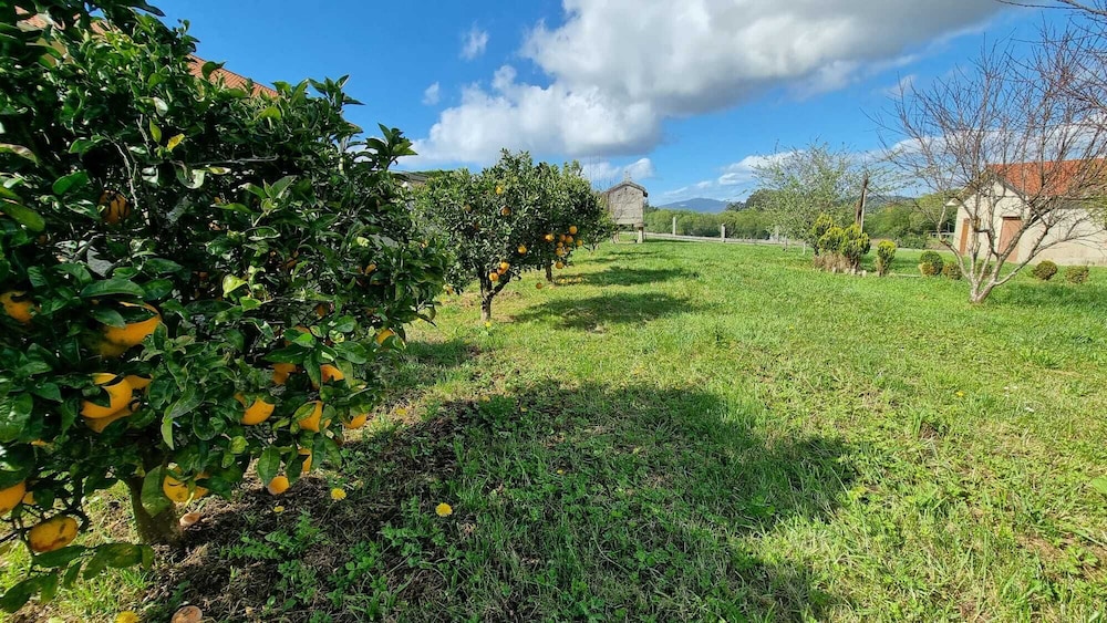Casa de Lujo con Pisicina y Jardin en el Rural