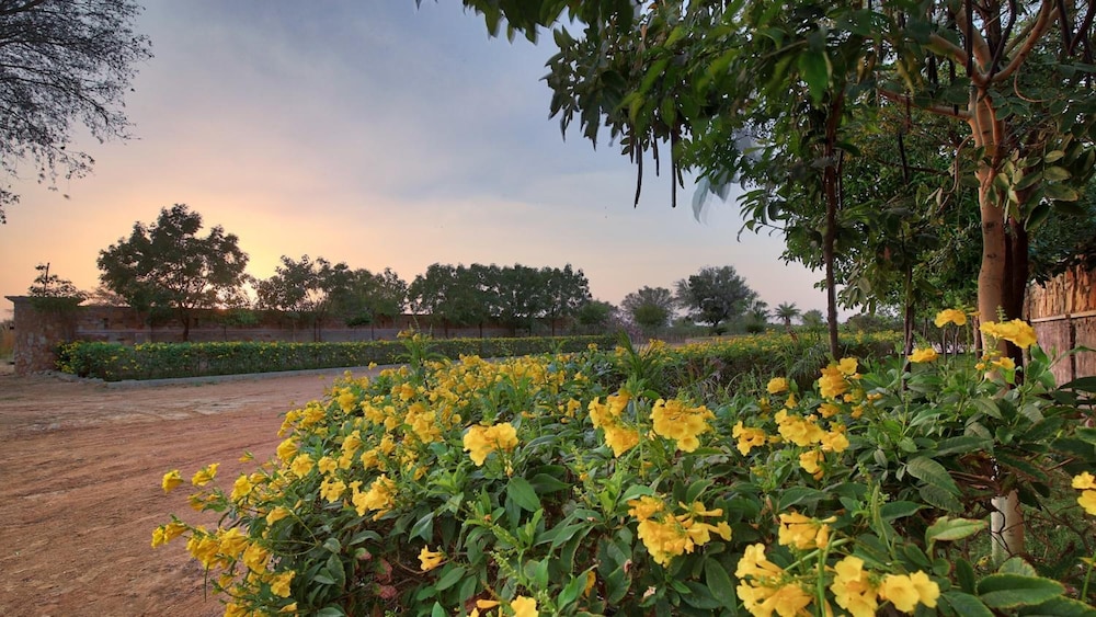 The Imperial Farm Retreat Jaipur - A weekend Gateway