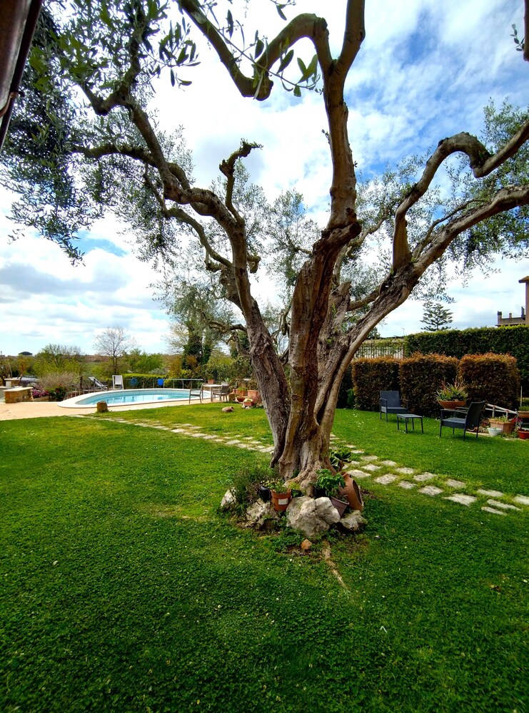 La Valle Dei Casali B&B