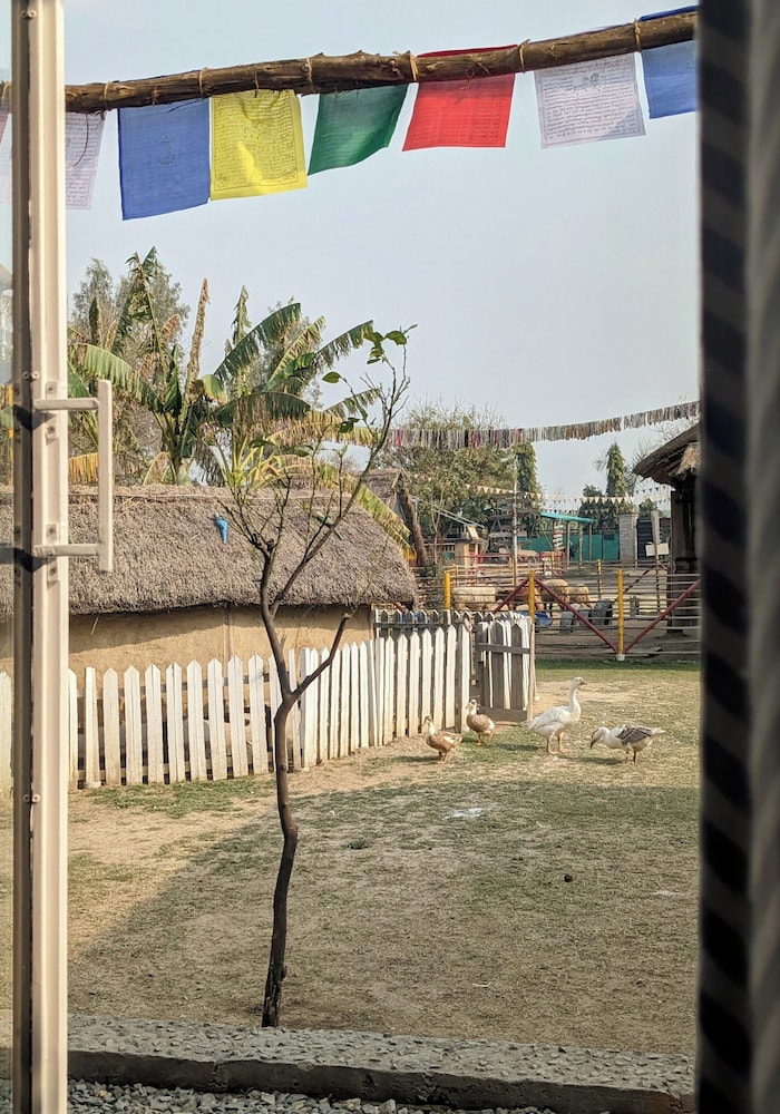 Tuk Tuk Gilhari Noida